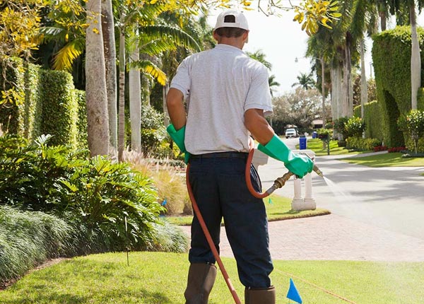 About Martin City MT Pest Control